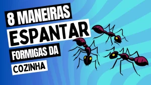 Leia mais sobre o artigo 8 Maneiras Eficazes de Espantar Formigas da Cozinha