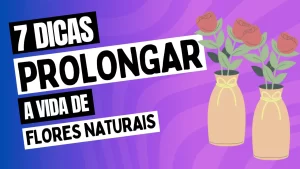 Leia mais sobre o artigo 7 Dicas Práticas para Prolongar a Vida Útil de Flores Naturais