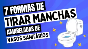 Leia mais sobre o artigo 7  Formas de Tirar Manchas Amareladas de Vasos Sanitários